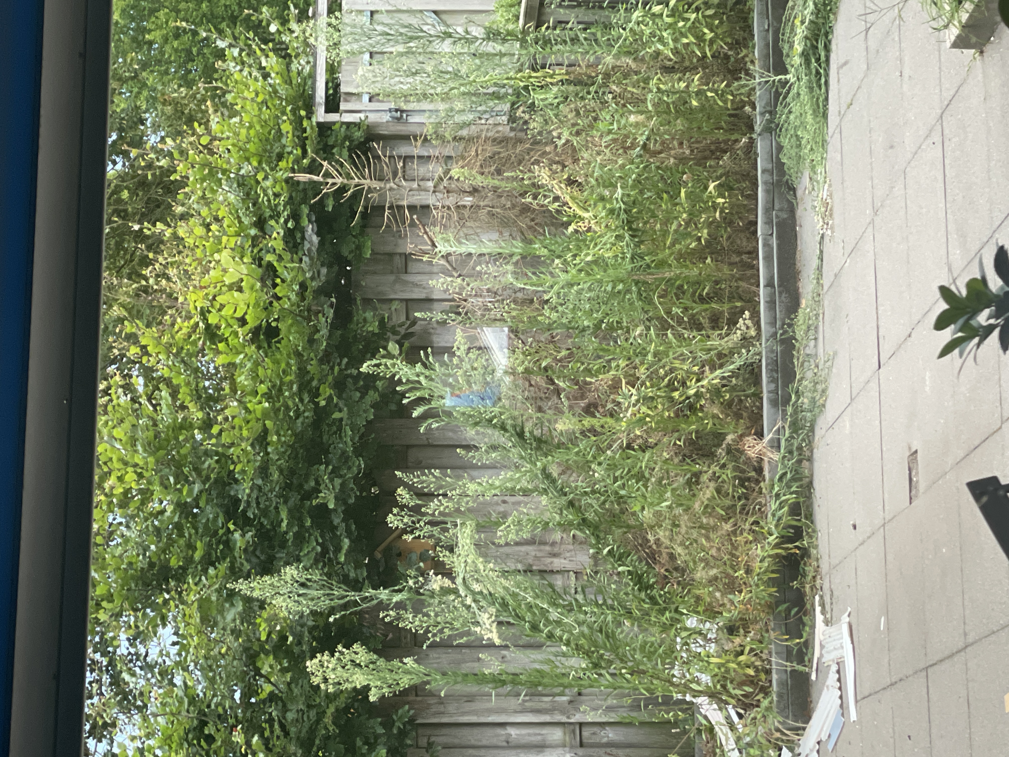 Klus-foto 1