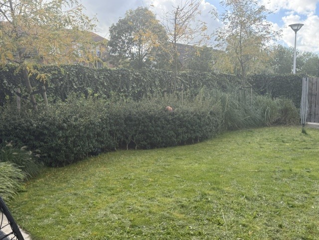 Klus-foto 2