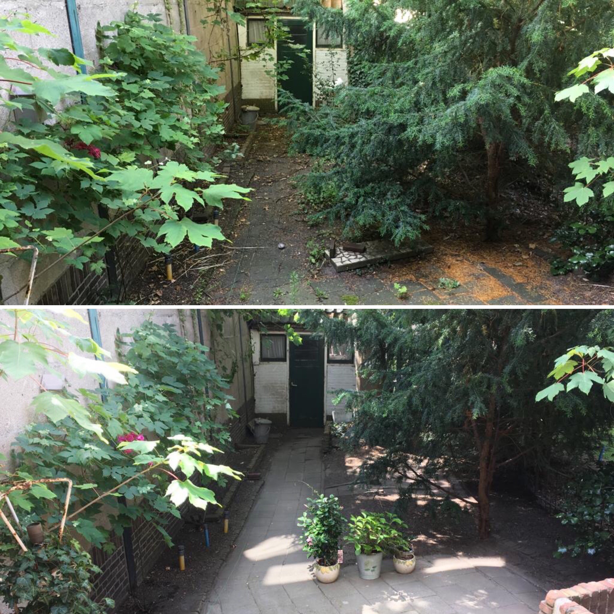 Voorbeeldwerk uit het portfolio van Tascha, tuinhulp in Leiden