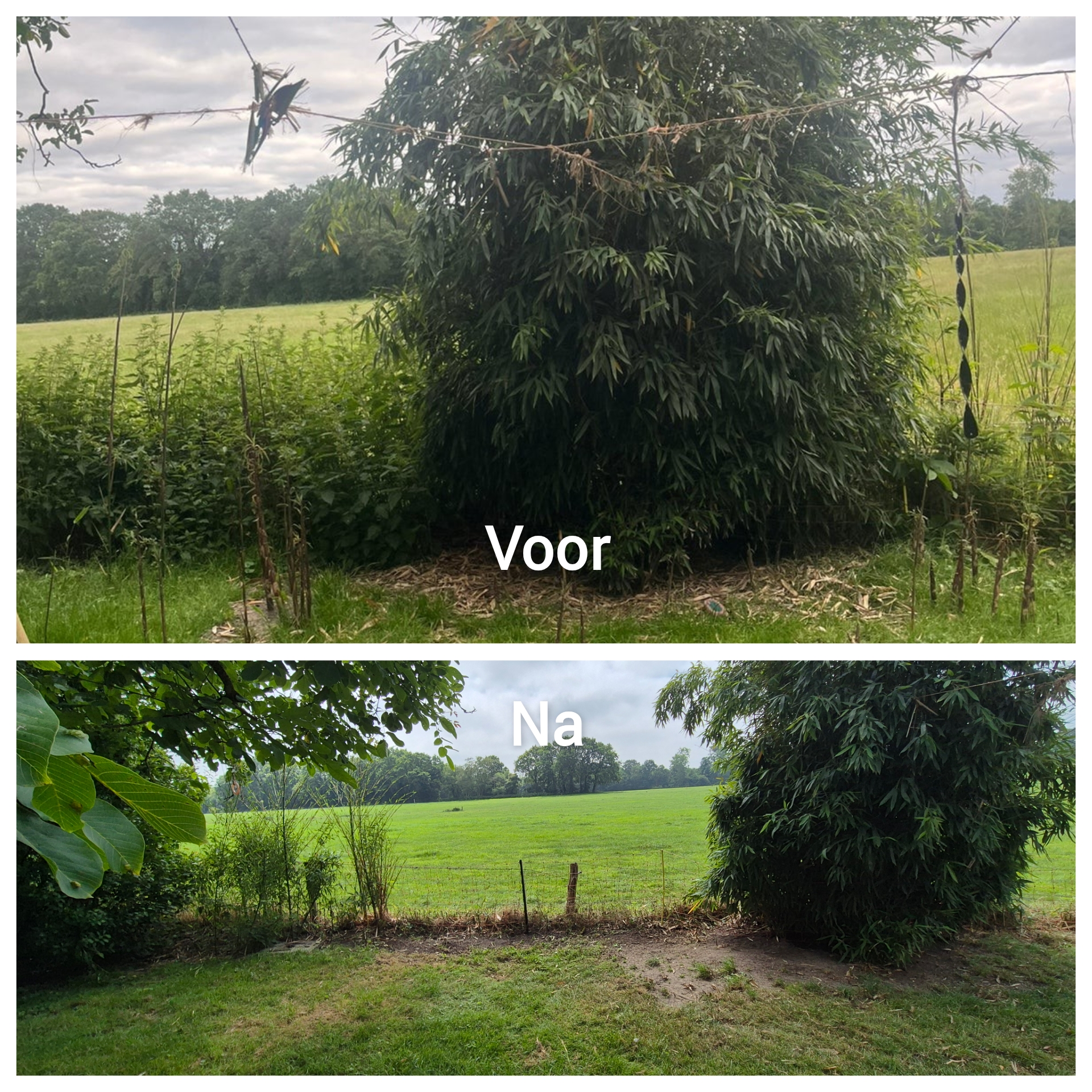 Voorbeeldwerk uit het portfolio van Sander, tuinhulp in Nunspeet