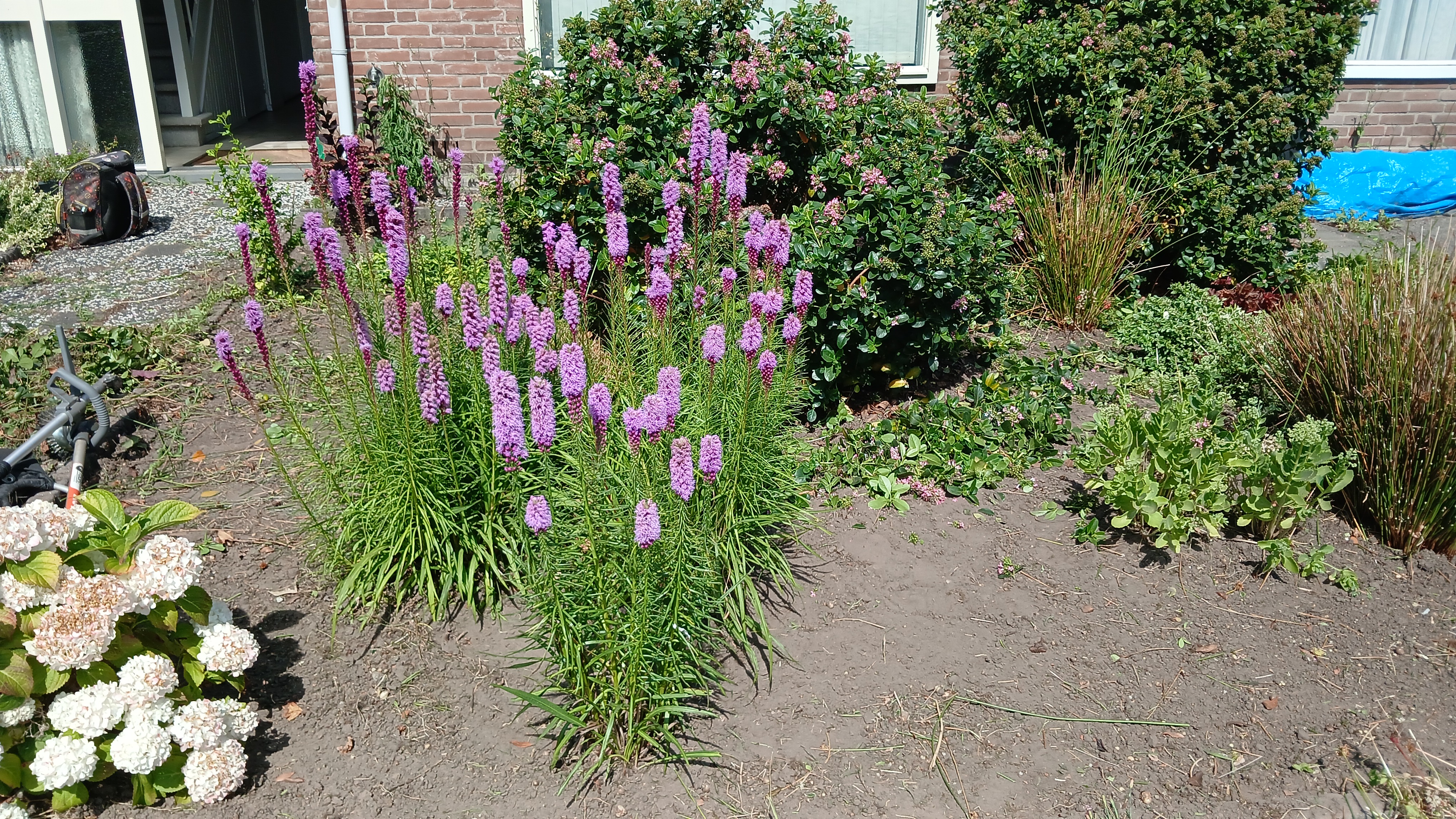 Voorbeeldwerk uit het portfolio van Jannes, tuinhulp in Fijnaart