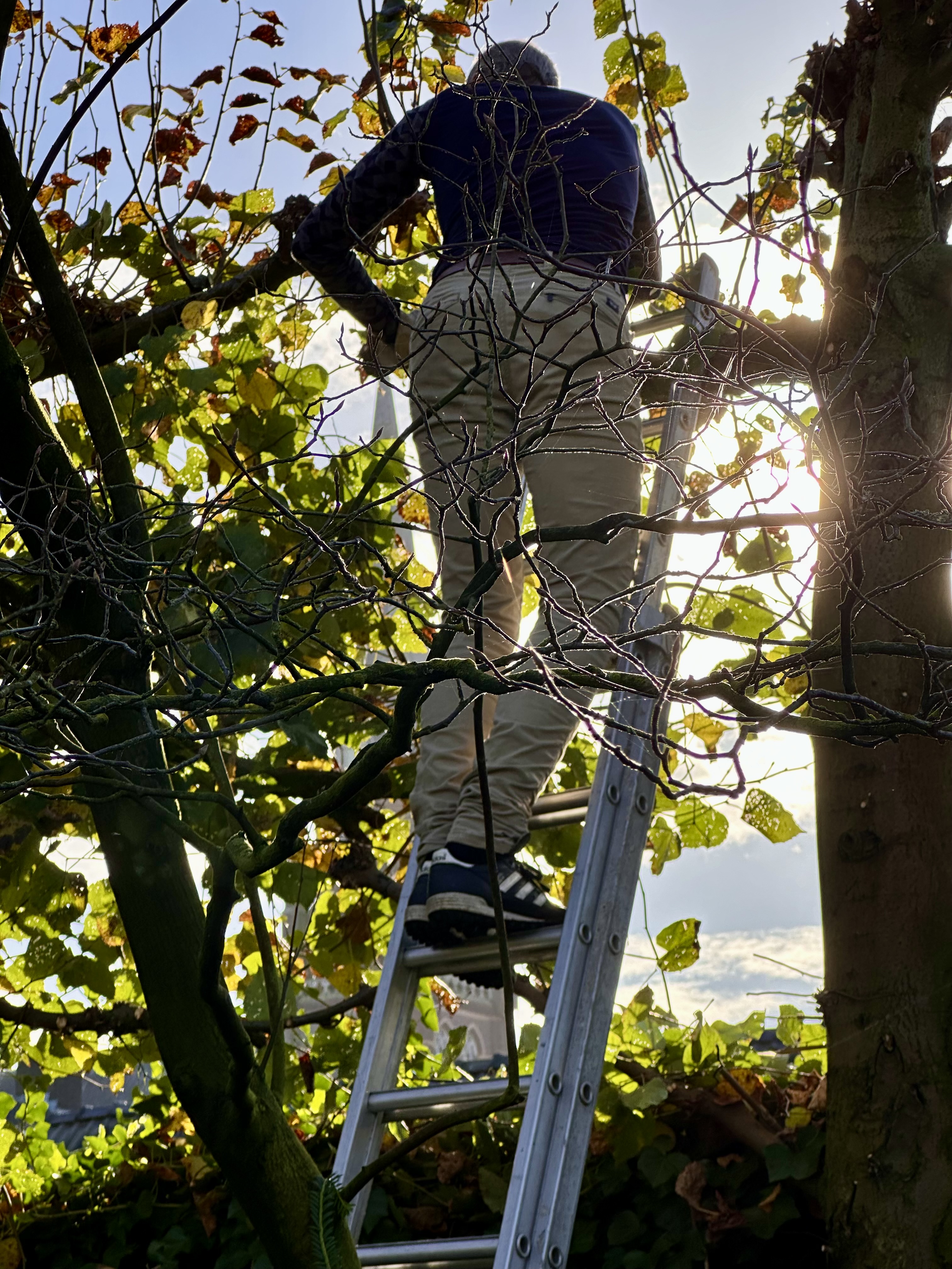 Profielfoto van Bart v., tuinhulp in Zeist